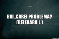 bai..carei problema?
(Bejenaru L.)