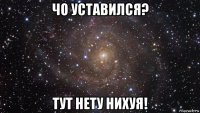 чо уставился? тут нету нихуя!