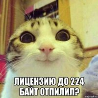  лицензию до 224 байт отпилил?