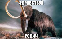 здравствуй родич