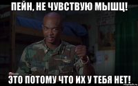 пейн, не чувствую мышц! это потому что их у тебя нет!