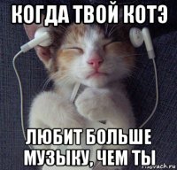 когда твой котэ любит больше музыку, чем ты