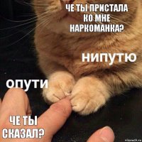 че ты пристала ко мне наркоманка? че ты сказал?