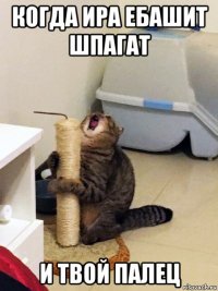 когда ира ебашит шпагат и твой палец