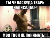 ты че паскуда тварь написал(а)? моя твоя не понимать!!!