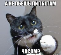 а не пьешь ли ты там часом?