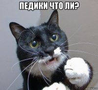 педики что ли? 