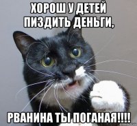 хорош у детей пиздить деньги, рванина ты поганая!!!!