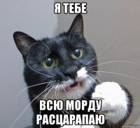 я тебе всю морду расцарапаю