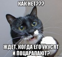 как нет??? ждет, когда его укусят и поцарапают?