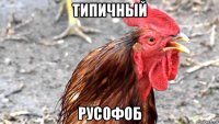 типичный русофоб