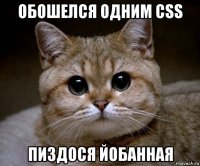 обошелся одним css пиздося йобанная