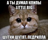 а ты думал клипы little big шутки шутят, педрилла