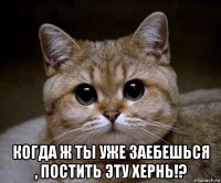  когда ж ты уже заебешься , постить эту хернь!?