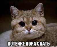  котейке пора спать