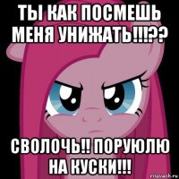 ты как посмешь меня унижать!!!?? сволочь!! поруюлю на куски!!!