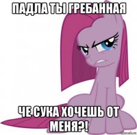 падла ты гребанная че сука хочешь от меня?!