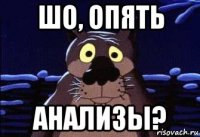 шо, опять анализы?