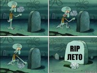 rip лето