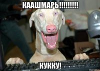 каашмарь!!!!!!!!! кукку!