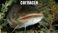 согласен 