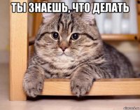ты знаешь, что делать 
