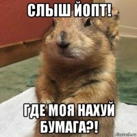 слыш йопт! где моя нахуй бумага?!