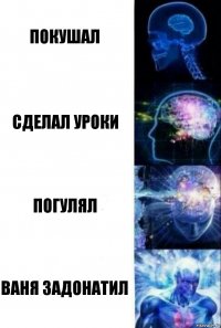 Покушал Сделал уроки Погулял ВАНЯ ЗАДОНАТИЛ