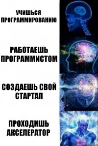 Учишься программированию Работаешь программистом Создаешь свой стартап Проходишь акселератор