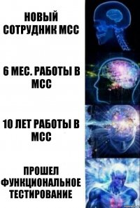 Новый сотрудник MCC 6 мес. работы в MCC 10 лет работы в MCC Прошел функциональное тестирование