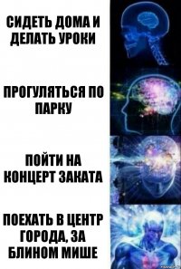 сидеть дома и делать уроки прогуляться по парку Пойти на концерт заката Поехать в центр города, за блином Мише