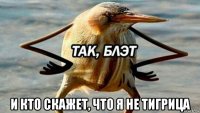  и кто скажет, что я не тигрица