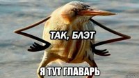  я тут главарь