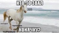 кто-то звал конячку?