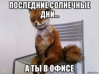 последние солнечные дни... а ты в офисе
