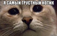 я самый грустный котик 