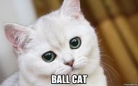  ball cat