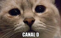  canal d