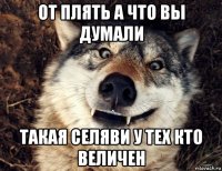 от плять а что вы думали такая селяви у тех кто величен