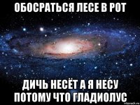 обосраться лесе в рот дичь несёт а я несу потому что гладиолус