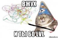 вжух и ты 60 lvl