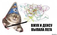 вжух и Денсу выпала лега