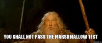 you shall not pass the Marshmallow Test