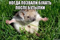 когда позвали бухать после бутылки 