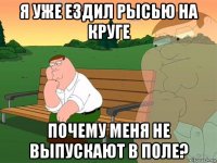 я уже ездил рысью на круге почему меня не выпускают в поле?