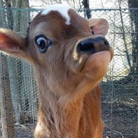 Создать мем ХМММ