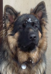 Создать мем Пидарок