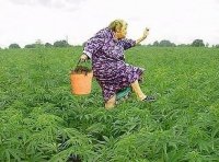 Создать мем Выходные