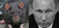 Создать мем Вывы