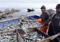 Создать мем Загрузка базы